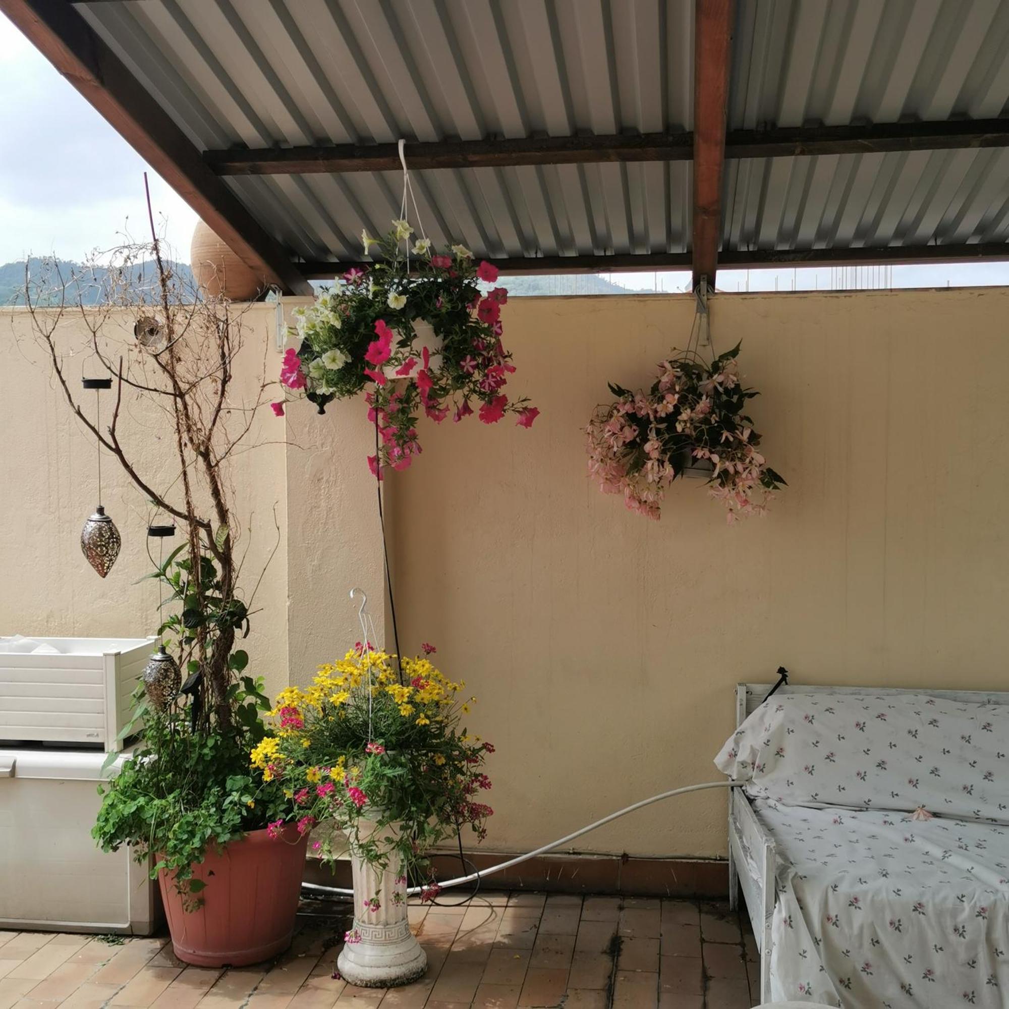 Albisola bed&breakfast Albisola Superiore Exterior foto